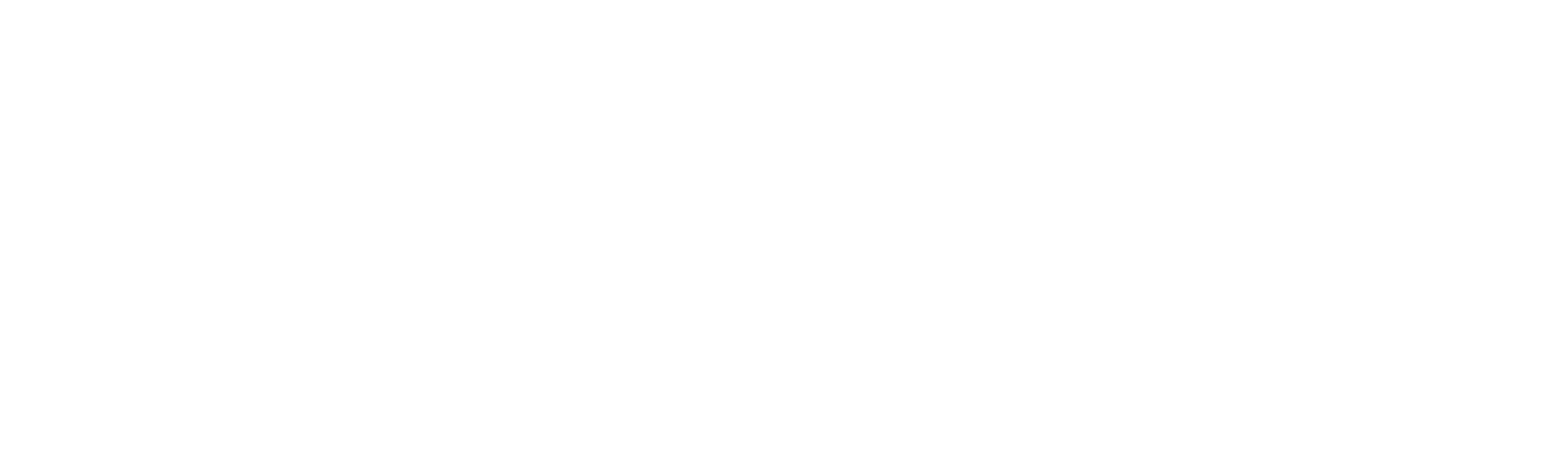 ActiveX White Logo